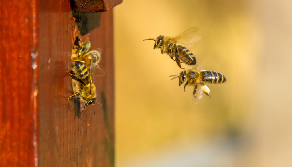 The People Who Count